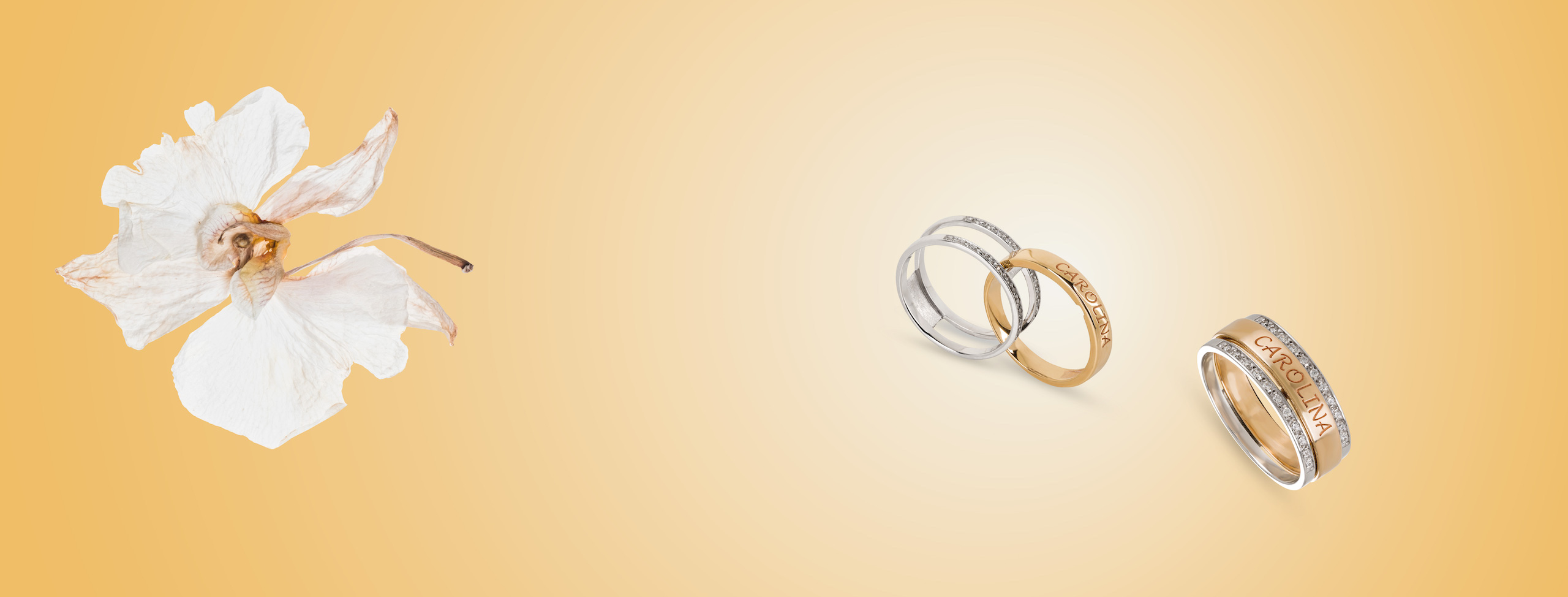 FR Jewels Coleção Família